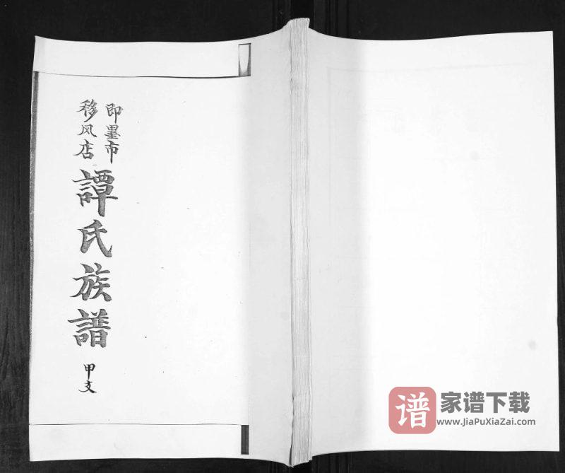 山东青岛即墨移风店谭氏族谱PDF高清电子版下载-家谱下载