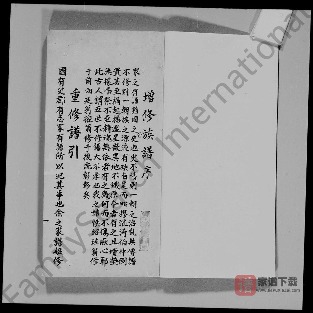 图片[2]-广东江门新会凌冲谭氏族谱PDF高清电子版下载-家谱下载