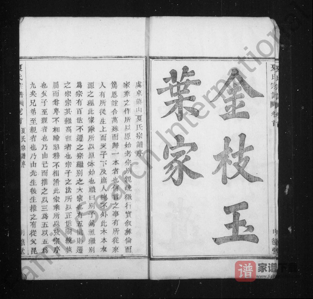 图片[2]-浙江绍兴上虞虞东蒋山夏氏宗谱（明德堂）PDF高清电子版下载-家谱下载