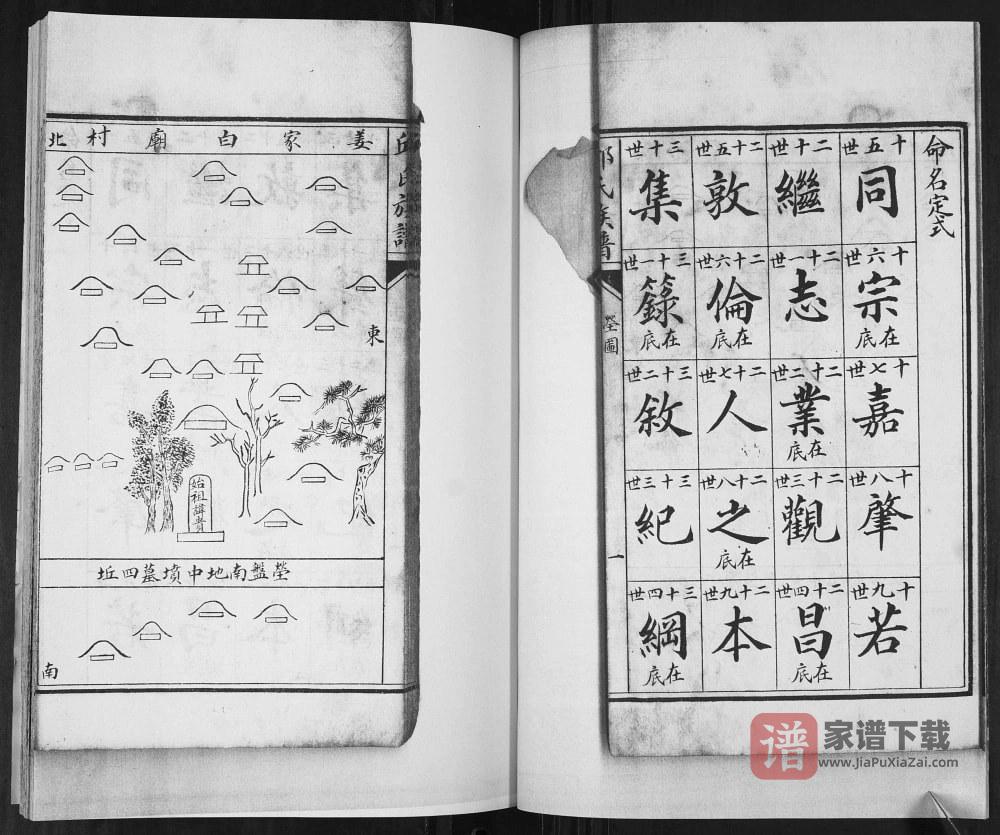 图片[2]-山东青岛即墨邱家白庙邱氏族谱PDF高清电子版下载-家谱下载