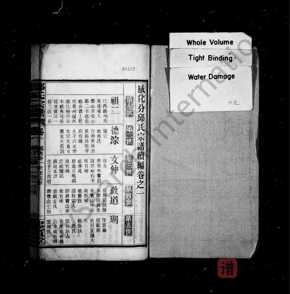 图片[2]-湖北黄冈感化分邱氏宗谱续编（忠实堂）PDF高清电子版下载-家谱下载