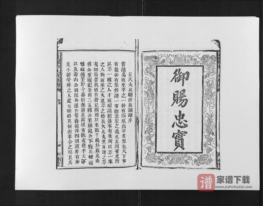 图片[2]-江西赣州兴国丘氏联修大成宗谱（河南堂）PDF高清电子版下载-家谱下载