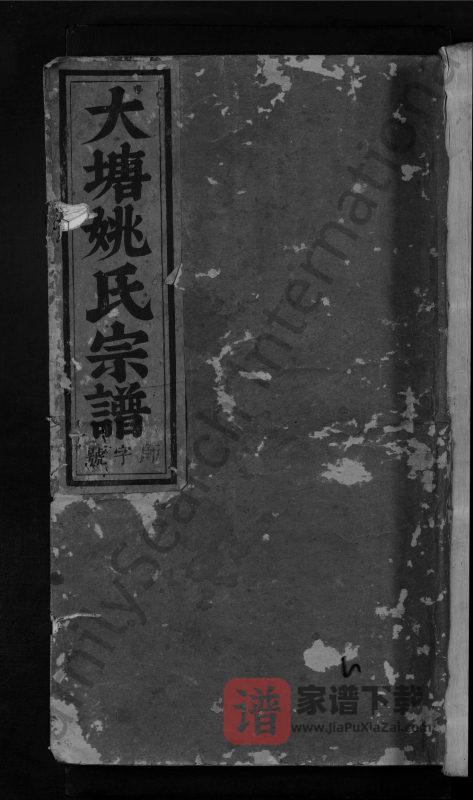 浙江东阳大塘姚氏宗谱PDF高清电子版下载-家谱下载