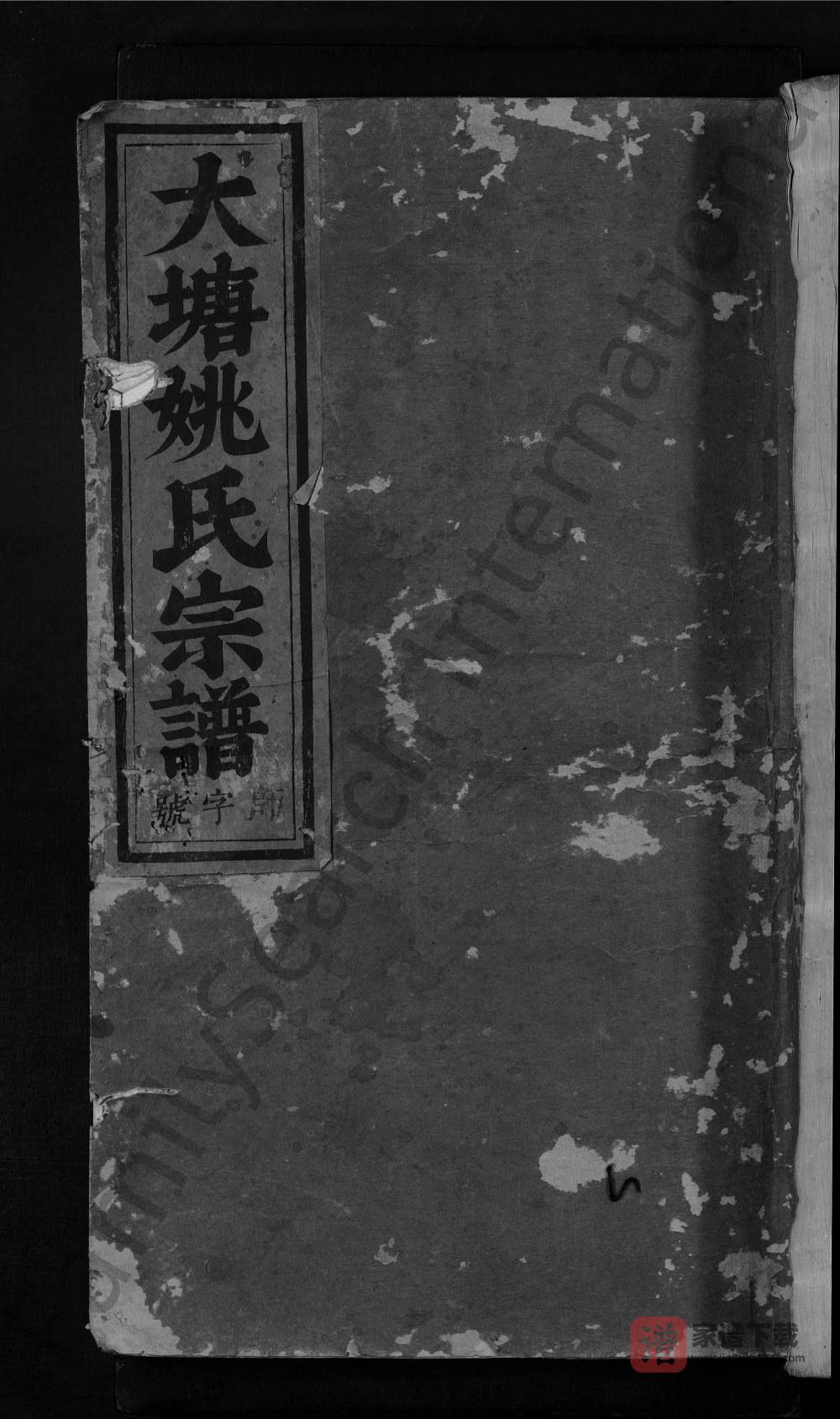 图片[1]-浙江东阳大塘姚氏宗谱PDF高清电子版下载-家谱下载