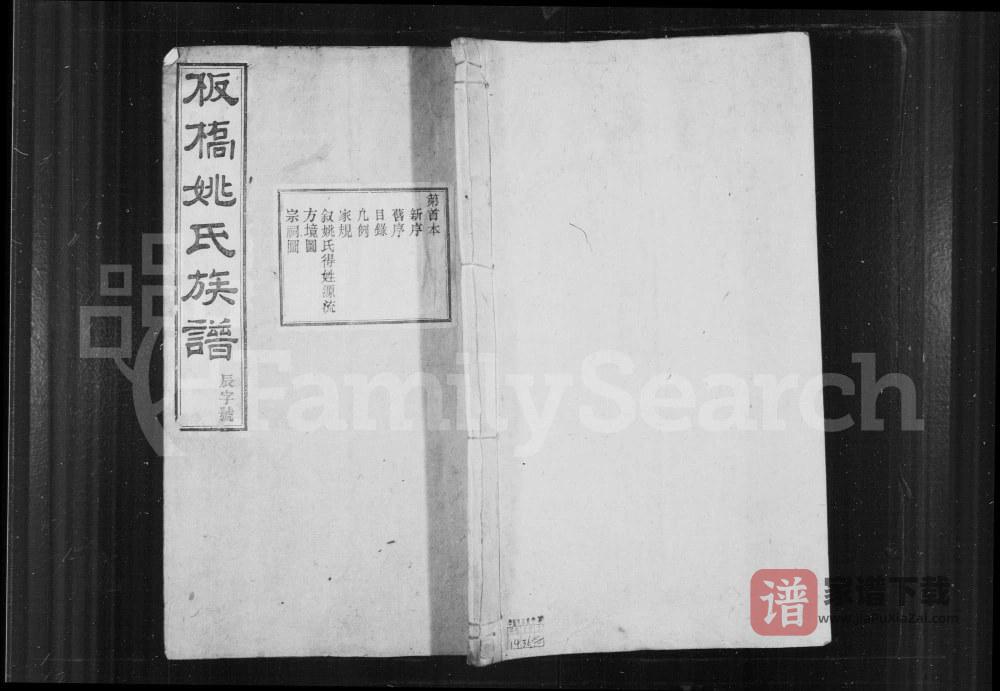 图片[1]-安徽宣城旌德县板桥姚氏宗谱PDF高清电子版下载-家谱下载