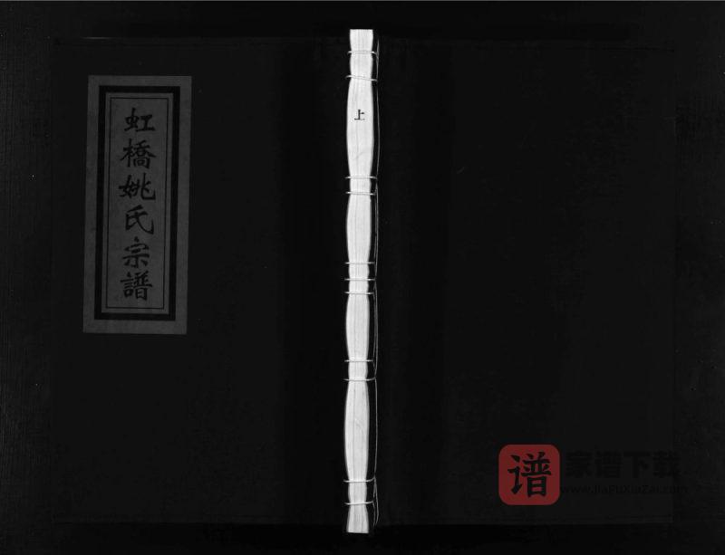 浙江乐清虹桥姚氏宗谱PDF高清电子版下载-家谱下载