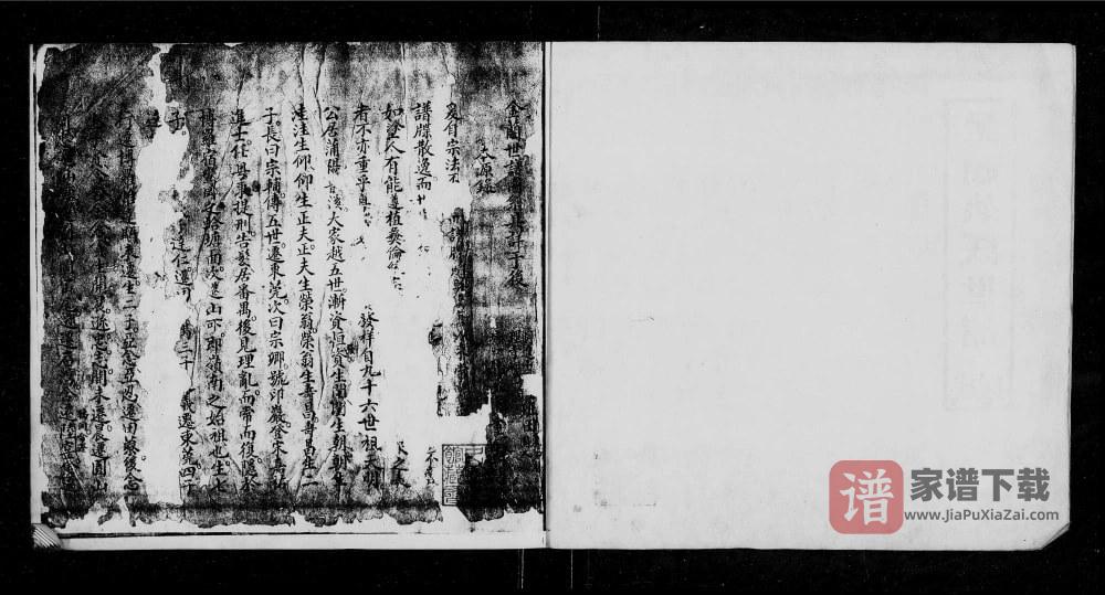图片[2]-广东广州增城金兰寺姚氏族谱PDF高清电子版下载-家谱下载