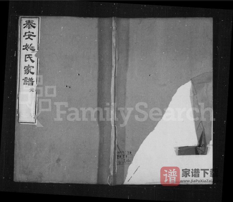 山东泰安姚氏家谱PDF高清电子版下载-家谱下载