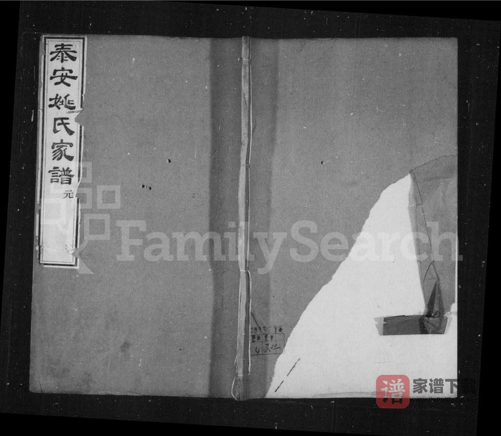 山东泰安姚氏家谱PDF高清电子版下载