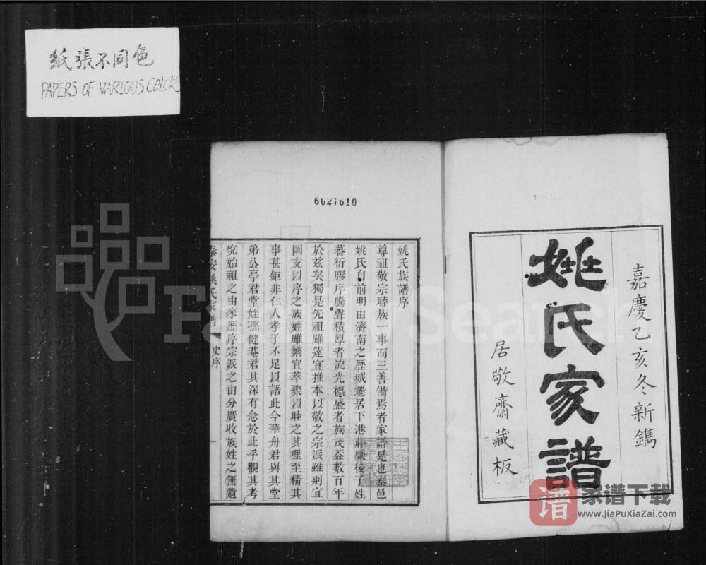 图片[2]-山东泰安姚氏家谱PDF高清电子版下载-家谱下载