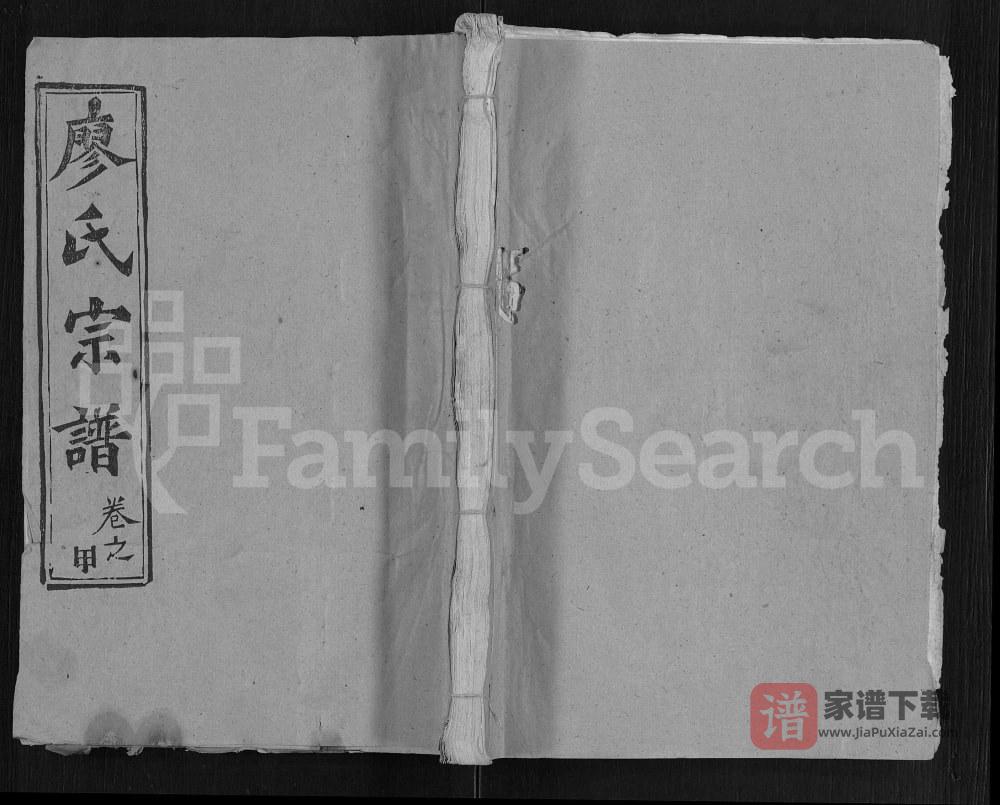 图片[1]-湖北黄冈廖氏宗谱（世彩堂）PDF高清电子版下载-家谱下载