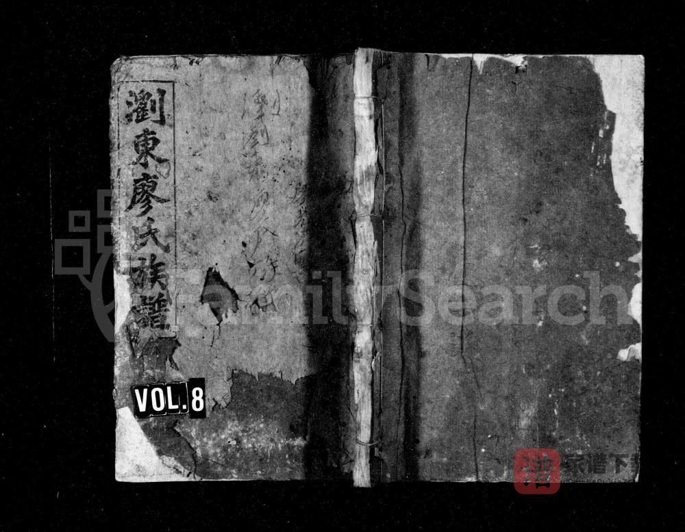 湖南浏阳浏东廖氏族谱（世彩堂）PDF高清电子版下载