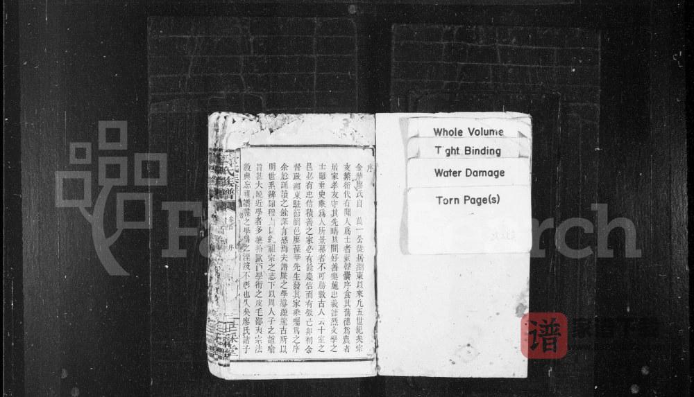 图片[2]-湖南浏阳浏东廖氏族谱（世彩堂）PDF高清电子版下载-家谱下载