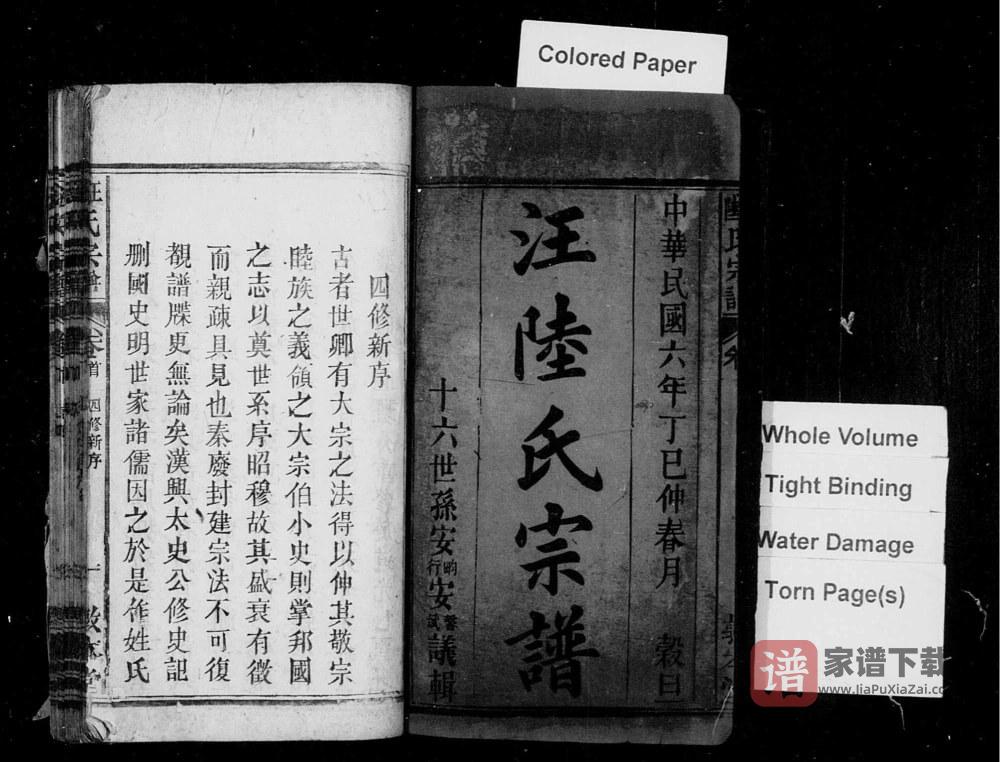 图片[2]-安徽安庆太湖县汪陆氏宗谱（敦本堂）PDF高清电子版下载-家谱下载