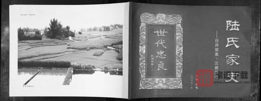 广西南宁武鸣区陆氏家史日开宗系三房族谱PDF高清电子版下载