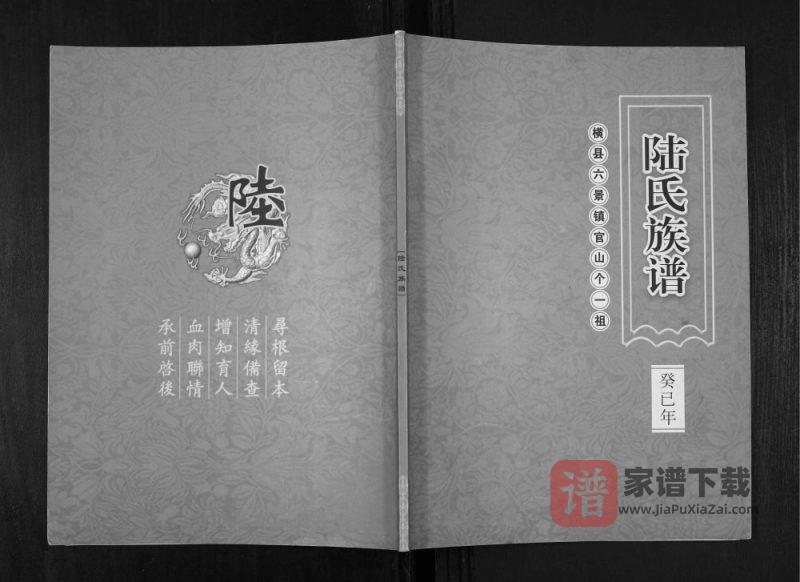 广西横州陆氏族谱PDF高清电子版下载-家谱下载
