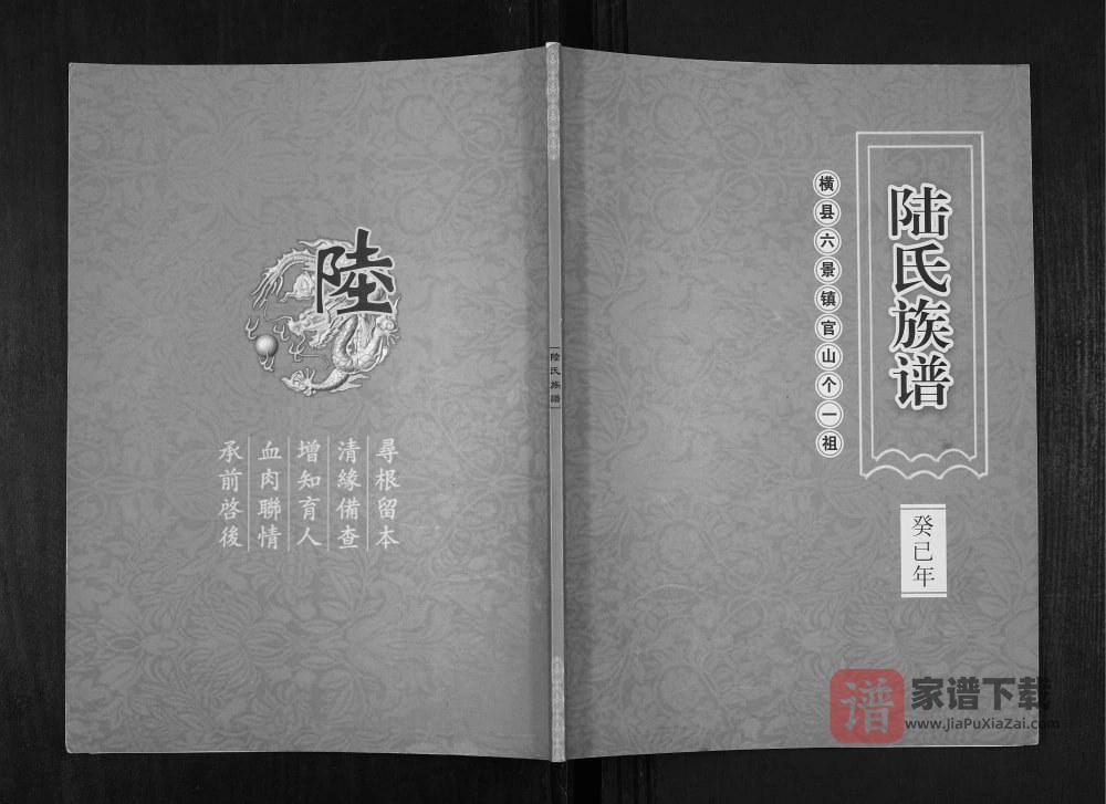 广西横州陆氏族谱PDF高清电子版下载
