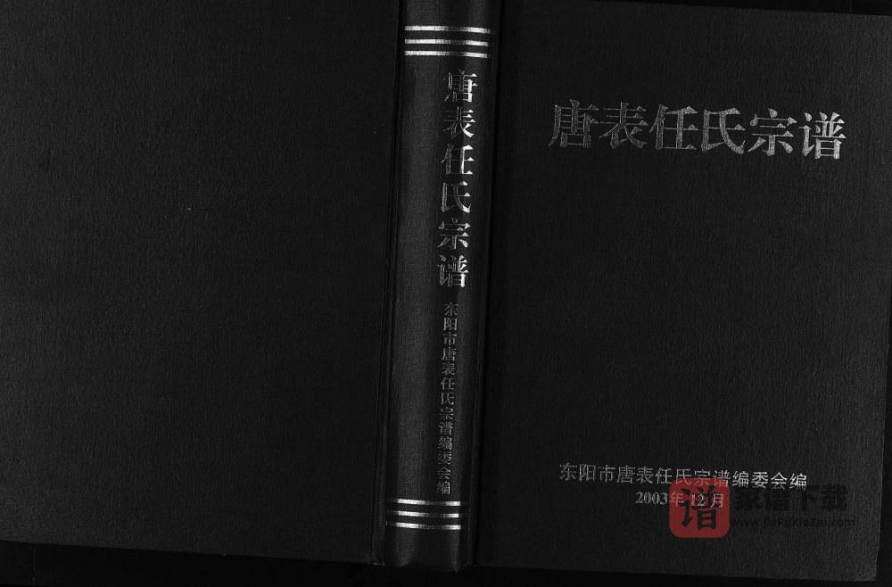 浙江东阳唐表任氏宗谱PDF高清电子版下载
