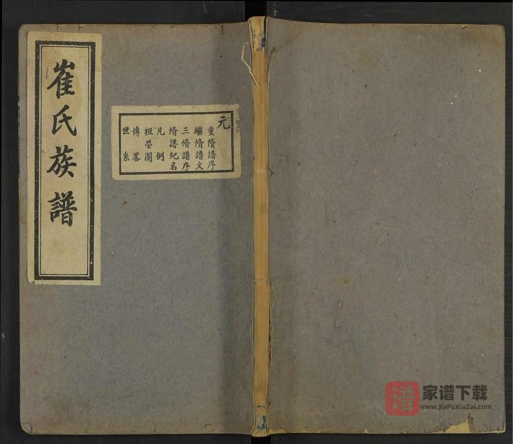 河北沧州东光县崔氏族谱PDF高清电子版下载