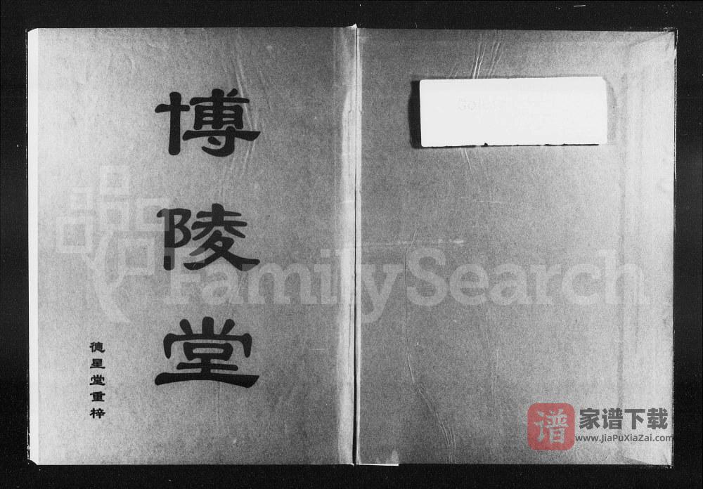 湖南益阳资阳崔氏八修支谱（德星堂）PDF高清电子版下载