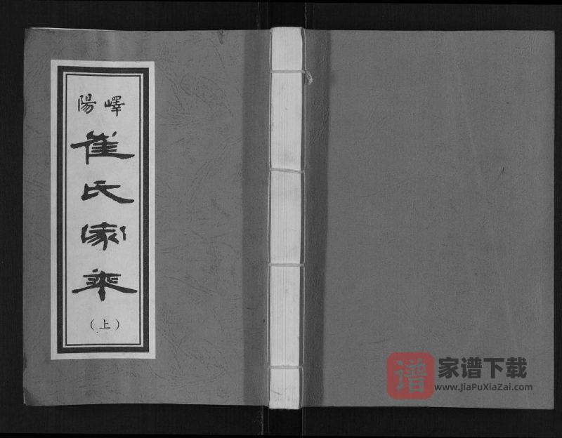 山东枣庄峄阳崔氏家乘PDF高清电子版下载-家谱下载