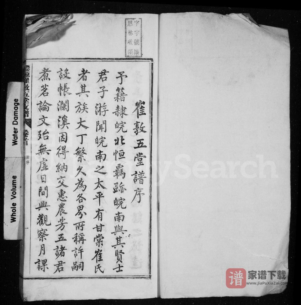 图片[2]-安徽黄山仙源崔敦五堂支谱PDF高清电子版下载-家谱下载