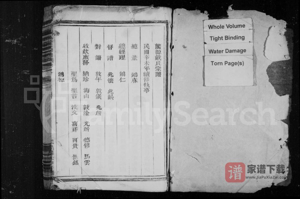 图片[2]-浙江衢州龙游兰源戴氏宗谱PDF高清电子版下载-家谱下载