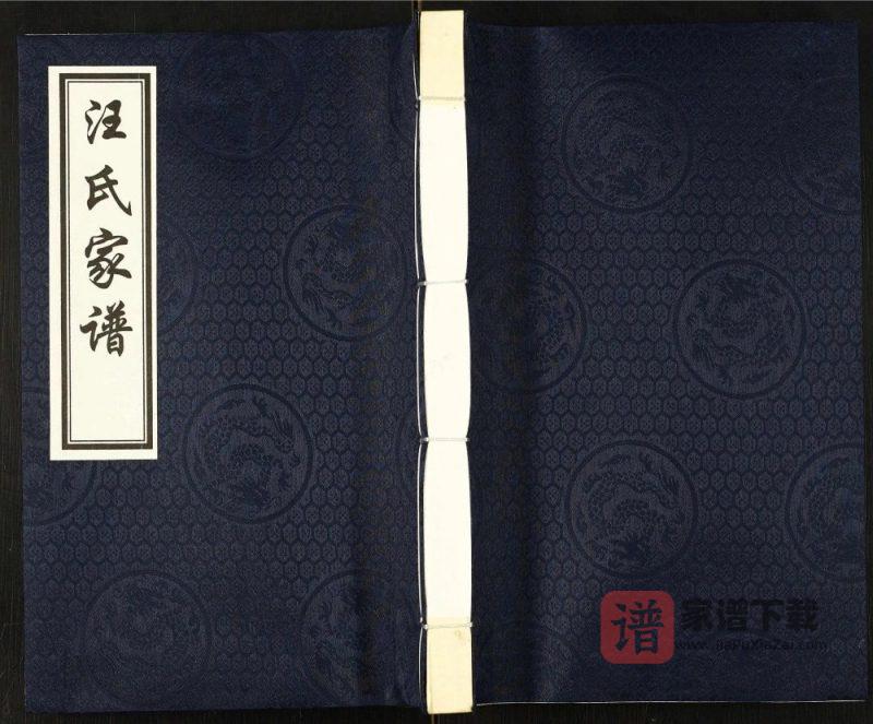 河北沧州东光县汪氏家谱PDF高清电子版下载-家谱下载
