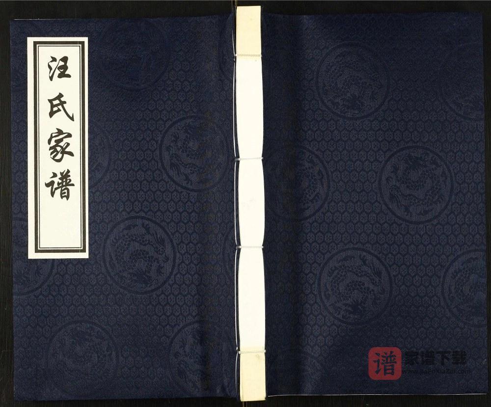 河北沧州东光县汪氏家谱PDF高清电子版下载