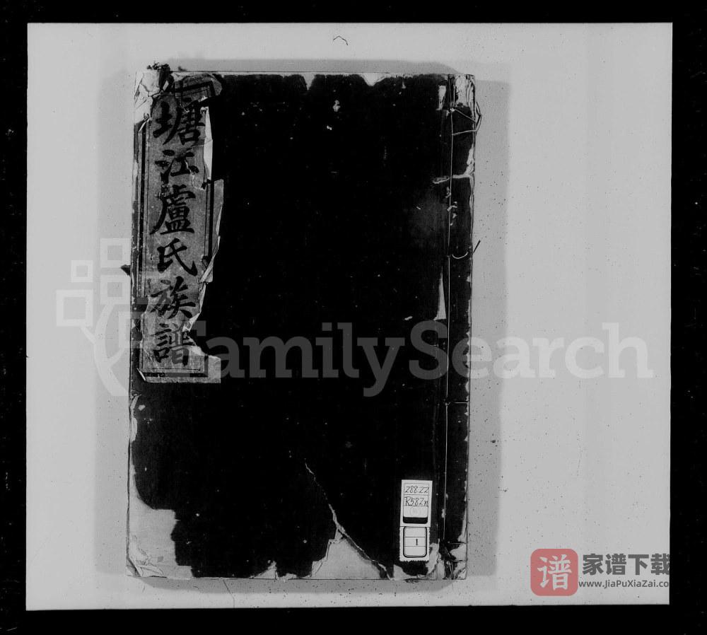 江西赣州南康区塘江卢氏族谱PDF高清电子版下载