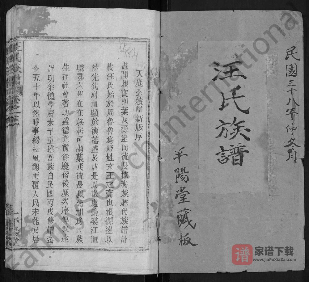 图片[2]-湖北黄冈红安汪氏族谱（平阳堂）PDF高清电子版下载-家谱下载