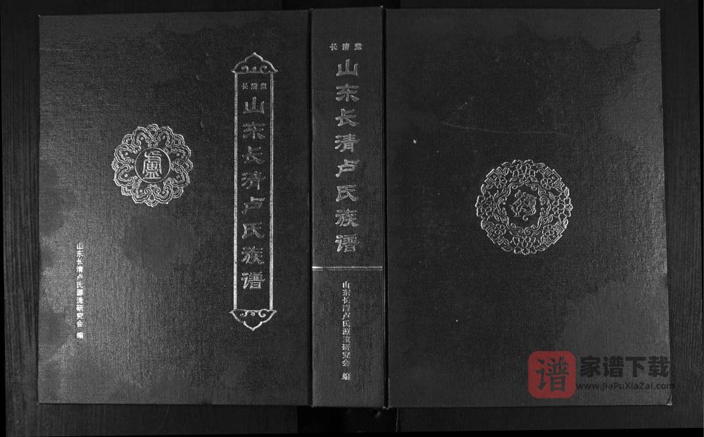 山东济南长清卢氏族谱（长清堂）PDF高清电子版下载