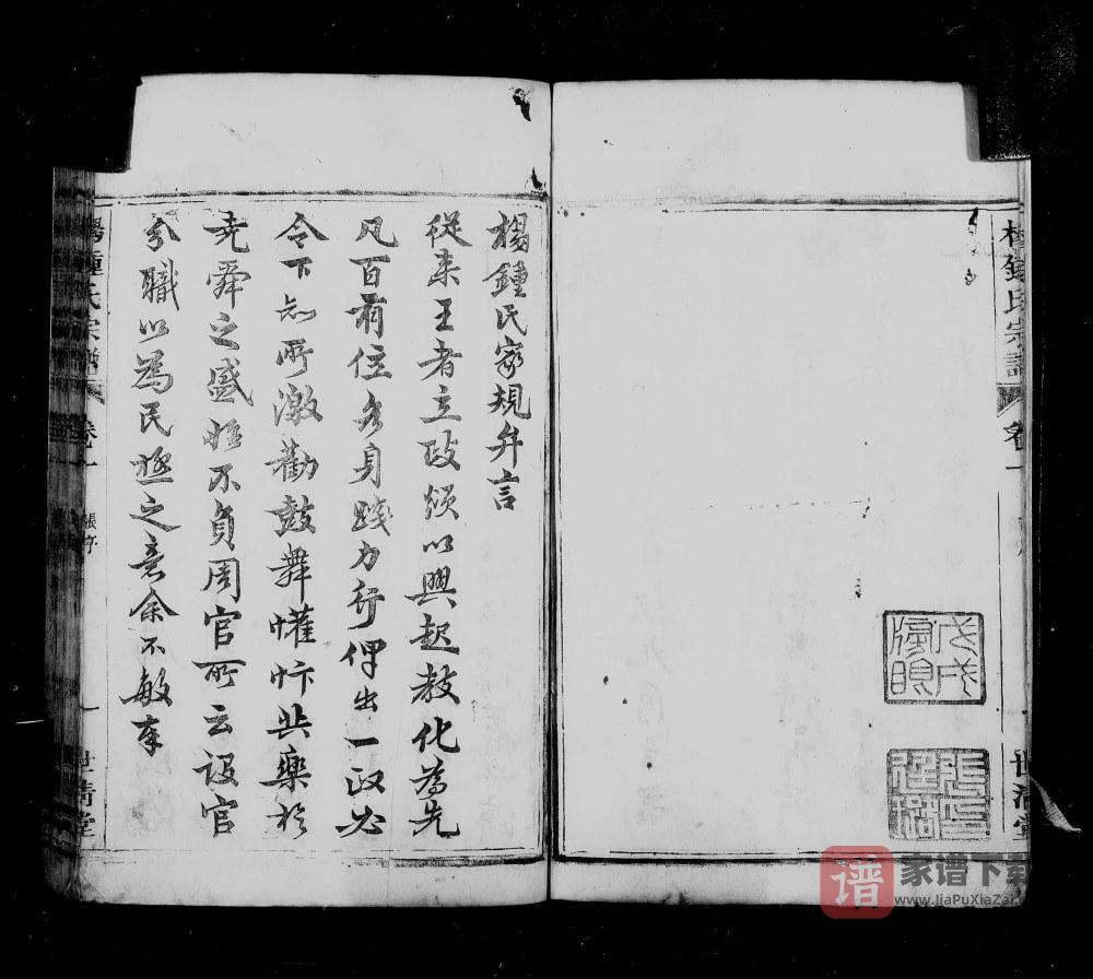 图片[2]-安徽桐城杨钟氏宗谱（世清堂）PDF高清电子版下载-家谱下载