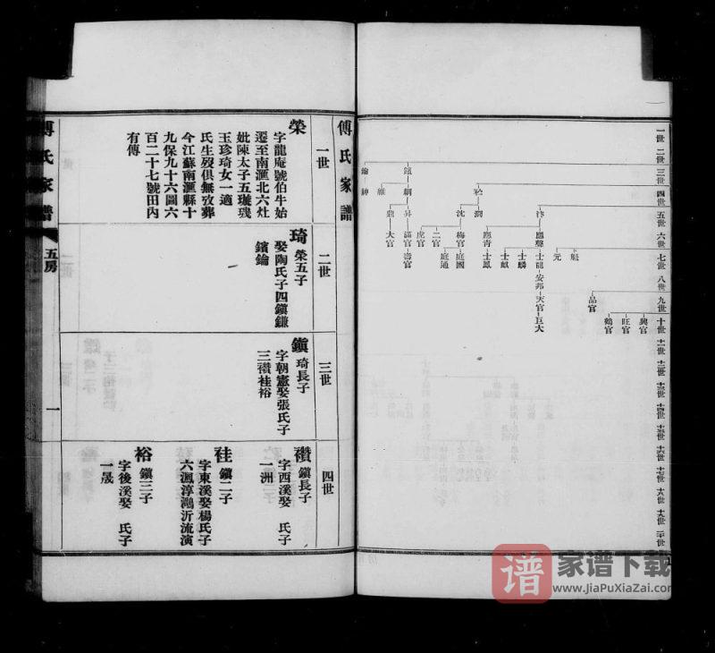 上海浦东六灶傅氏家谱PDF高清电子版下载-家谱下载