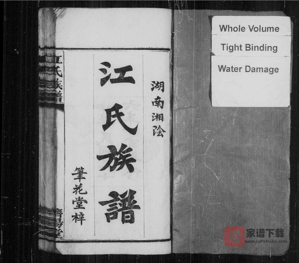 图片[2]-湖南岳阳湘阴江氏族谱（济阳堂）PDF高清电子版下载-家谱下载