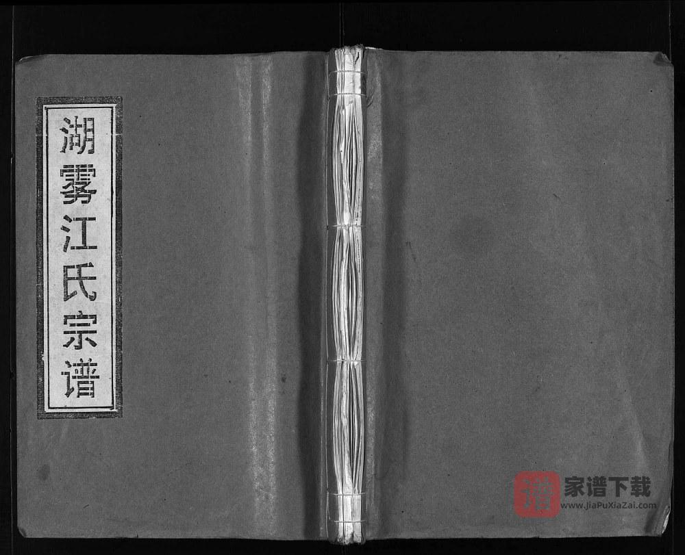 浙江乐清湖雾江氏宗谱PDF高清电子版下载