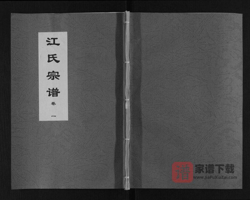 安徽肥东定远江氏联修宗谱（三忠堂）PDF高清电子版下载-家谱下载