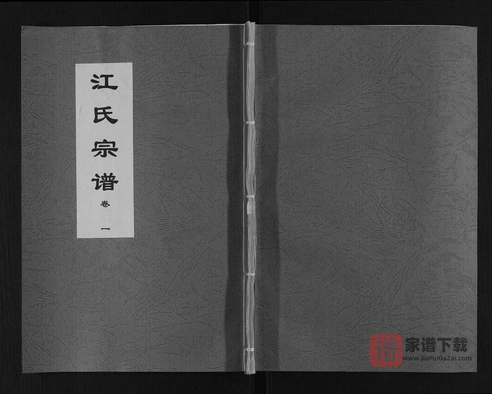 安徽肥东定远江氏联修宗谱（三忠堂）PDF高清电子版下载