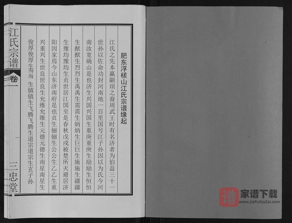 图片[2]-安徽肥东定远江氏联修宗谱（三忠堂）PDF高清电子版下载-家谱下载
