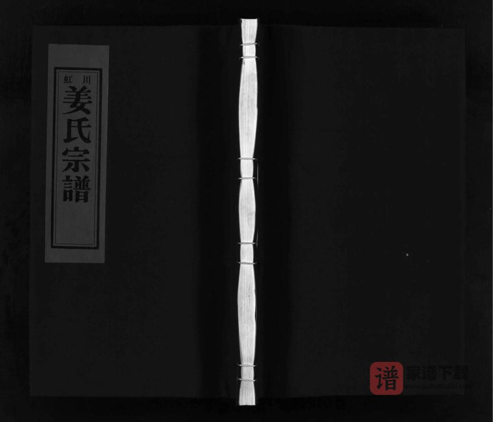 浙江乐清虹川姜氏宗谱PDF高清电子版下载