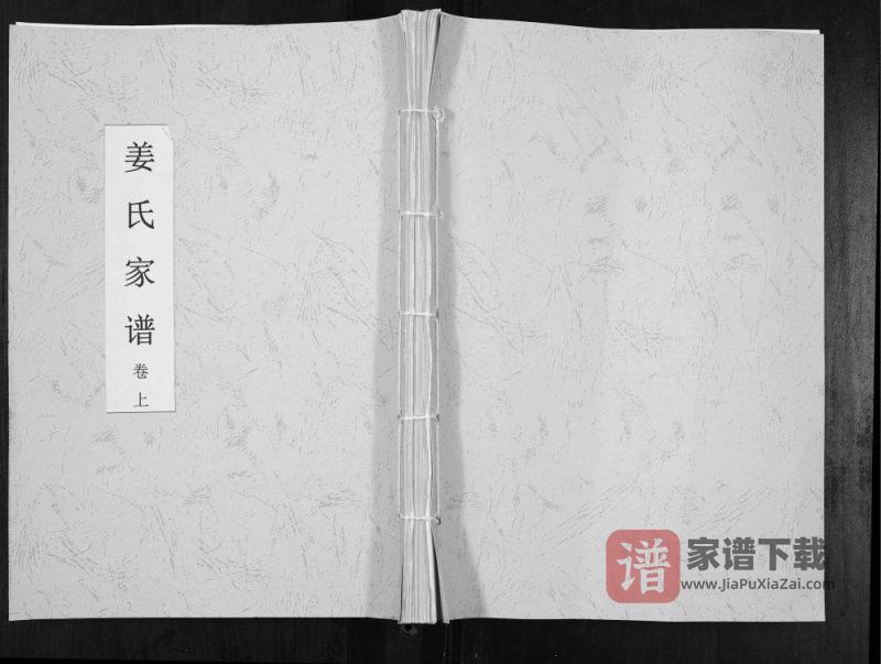 山东济宁姜氏家谱(渭水堂)PDF高清电子版下载-家谱下载