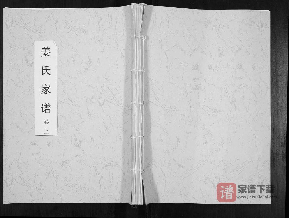 山东济宁姜氏家谱（渭水堂）PDF高清电子版下载