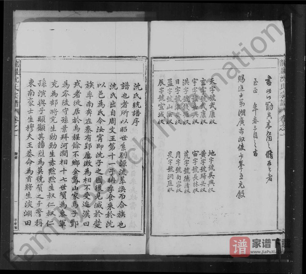 图片[2]-安徽池州石台县龙岩沈氏宗谱PDF高清电子版下载-家谱下载