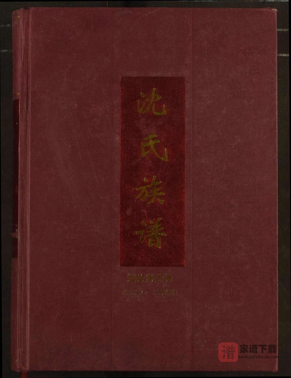 图片[1]-湖北荆州监利县沈氏族谱恒公支下远公房（三善堂）PDF高清电子版下载-家谱下载