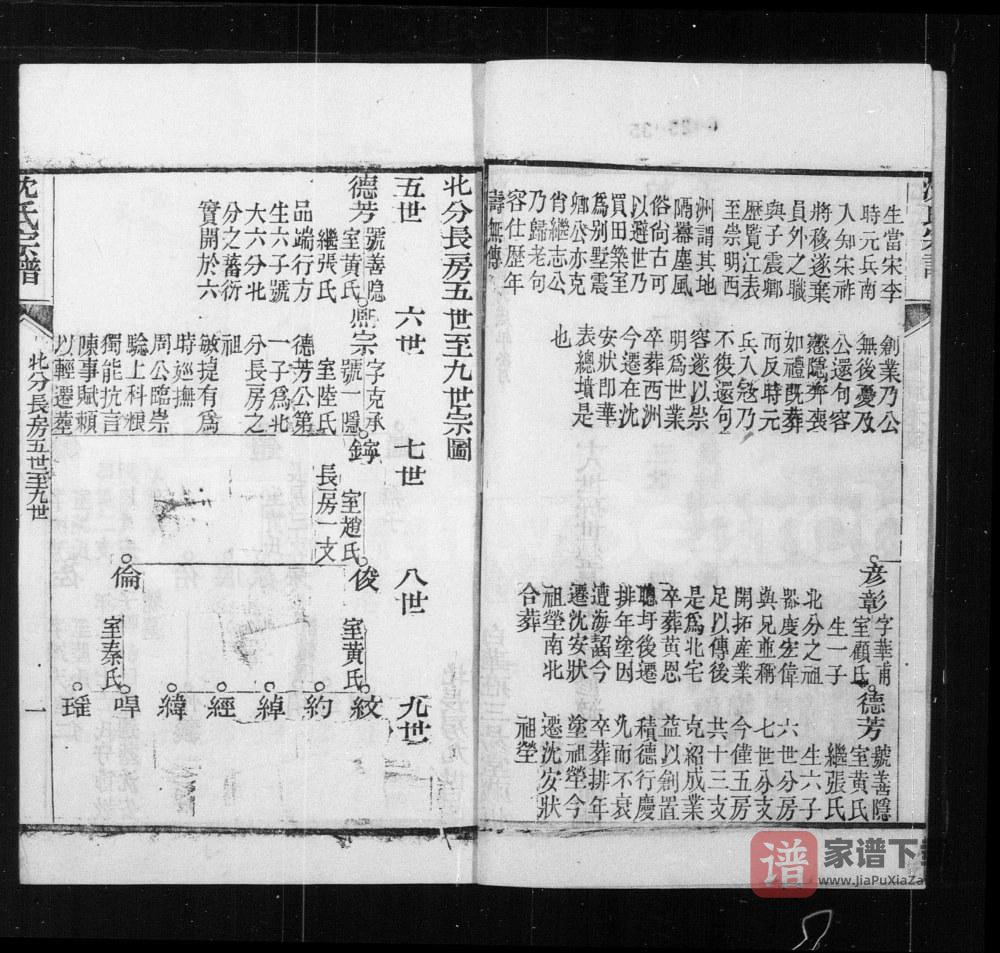 图片[2]-上海崇明沈氏宗谱（三易堂）PDF高清电子版下载-家谱下载