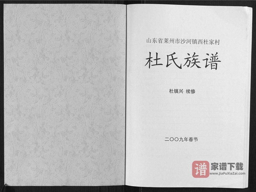 图片[2]-山东莱州沙河镇西杜家村杜氏族谱PDF高清电子版下载-家谱下载