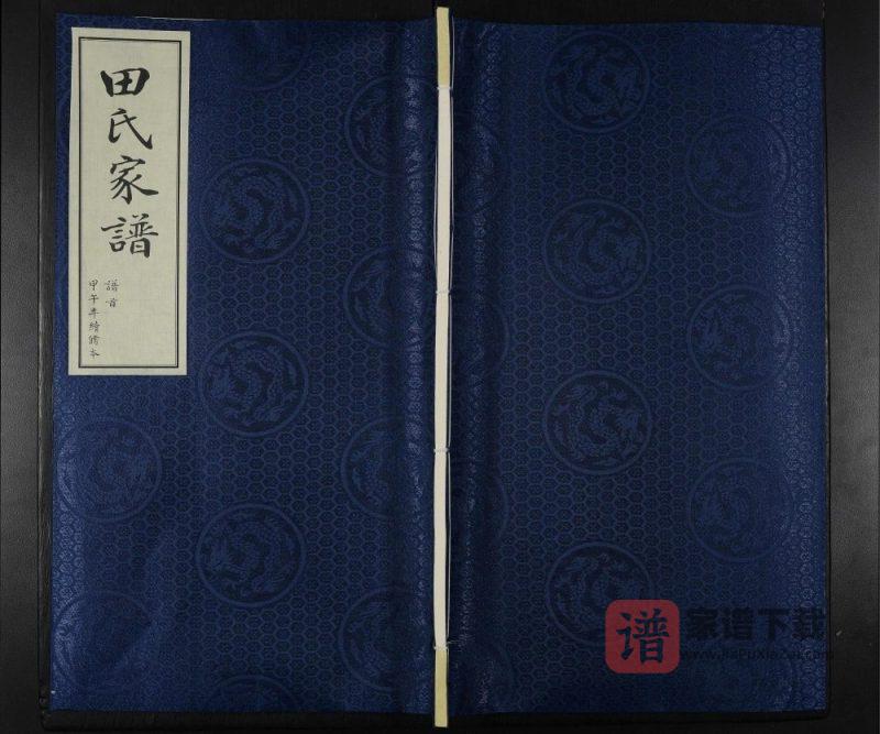 山东青州田氏宗谱PDF高清电子版下载-家谱下载