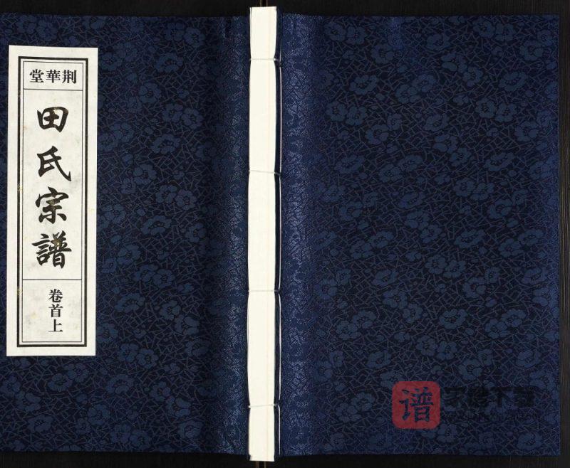 安徽合肥庐江县田氏宗谱（荆华堂）PDF高清电子版下载-家谱下载