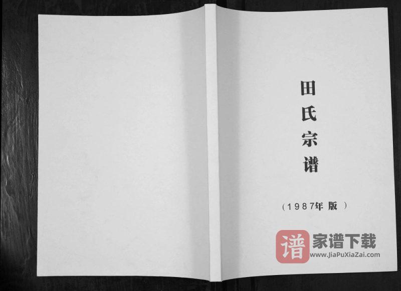 四川泸州泸县田氏族谱PDF高清电子版下载-家谱下载