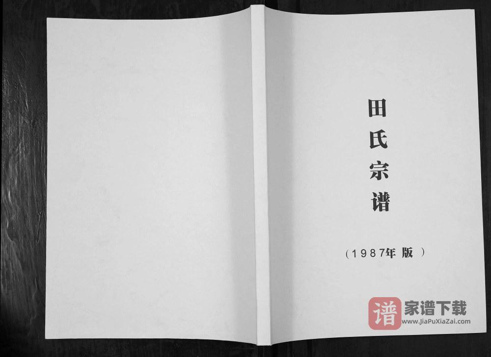 四川泸州泸县田氏族谱PDF高清电子版下载